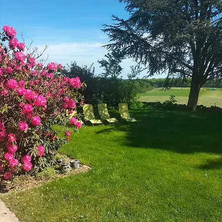 Belle Fleur 6 Personnes- Vosges *
