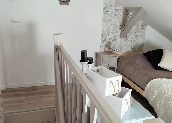 Belle Fleur 6 Personnes- Vosges *