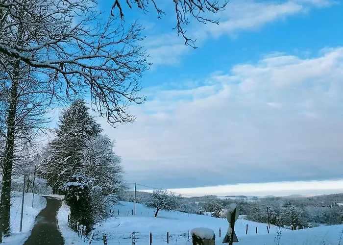 Belle Fleur 6 Personnes- Vosges *