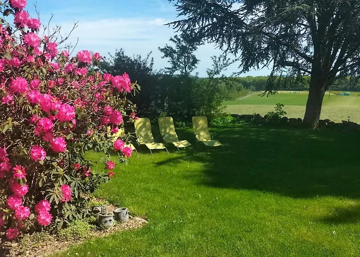 Belle Fleur 6 Personnes- Vosges *